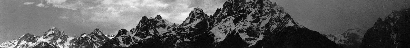 Terms and Privacy Policy